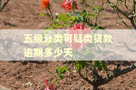 五级分类可疑类贷款逾期多少天