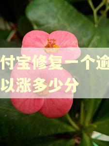 支付宝修复一个逾期可以涨多少分