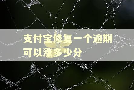 支付宝修复一个逾期可以涨多少分