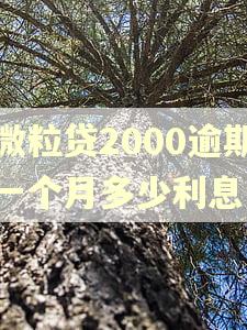 微粒贷2000逾期一个月多少利息