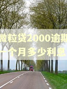 微粒贷2000逾期一个月多少利息