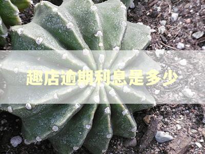 趣店逾期利息是多少