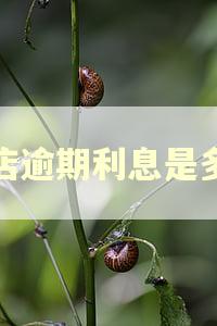 趣店逾期利息是多少