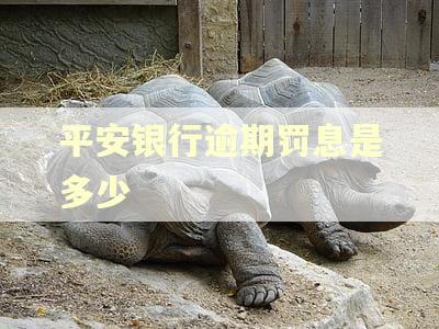 平安银行逾期罚息是多少 平安银行逾期罚息是多少