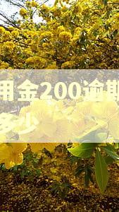备用金200逾期利息多少