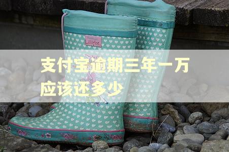 支付宝逾期三年一万应该还多少