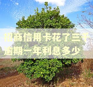 招商信用卡花了三千逾期一年利息多少