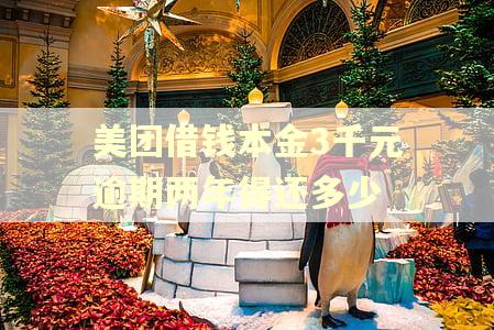 美团借钱本金3千元逾期两年得还多少