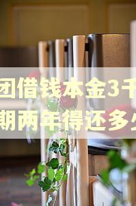 美团借钱本金3千元逾期两年得还多少