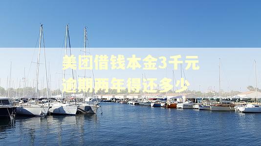 美团借钱本金3千元逾期两年得还多少