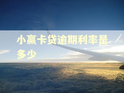 小赢卡贷逾期利率是多少