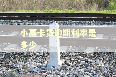 小赢卡贷逾期利率是多少