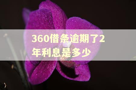 360借条逾期了2年利息是多少