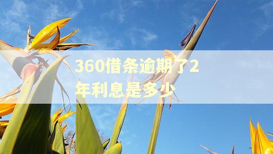 360借条逾期了2年利息是多少