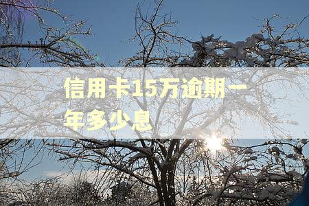 信用卡15万逾期一年多少息