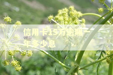 信用卡15万逾期一年多少息