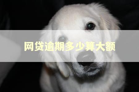 网贷逾期多少算大额