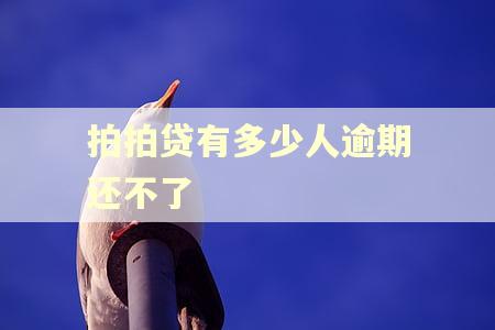 拍拍贷有多少人逾期还不了