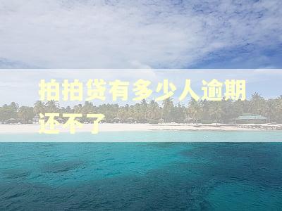拍拍贷有多少人逾期还不了