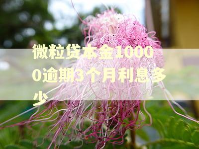 微粒贷本金10000逾期3个月利息多少