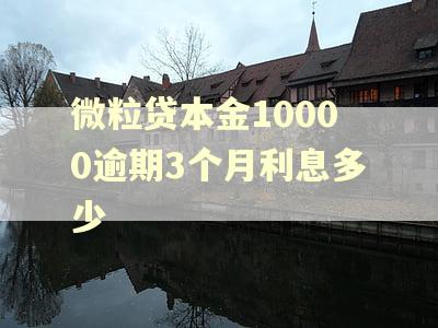 微粒贷本金10000逾期3个月利息多少