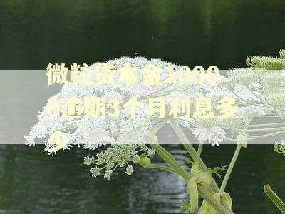 微粒贷本金10000逾期3个月利息多少