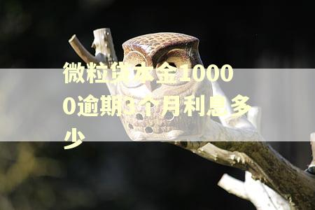 微粒贷本金10000逾期3个月利息多少