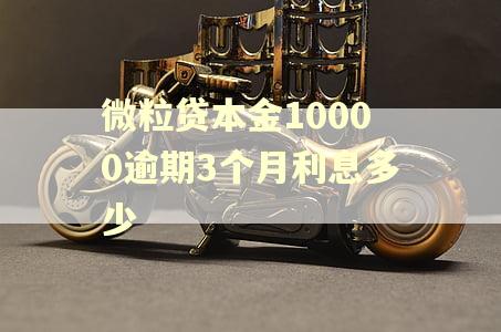 微粒贷本金10000逾期3个月利息多少