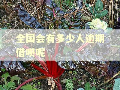 全国会有多少人逾期借呗呢