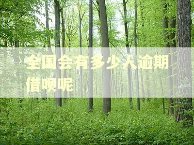 全国会有多少人逾期借呗呢