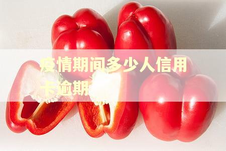 疫情期间多少人信用卡逾期