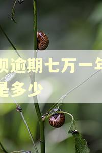 花呗逾期七万一年利息是多少