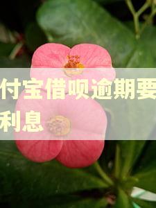 支付宝借呗逾期要多少利息