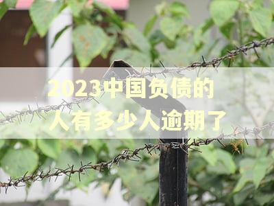 2023中国负债的人有多少人逾期了