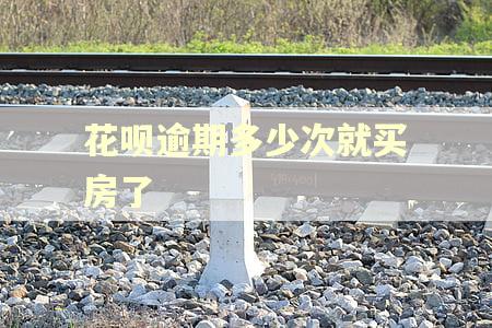 花呗逾期多少次就买房了