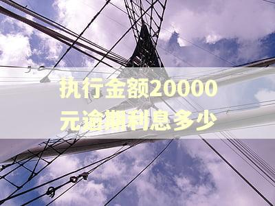 执行金额20000元逾期利息多少