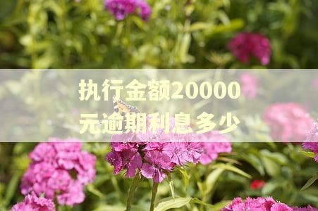 执行金额20000元逾期利息多少