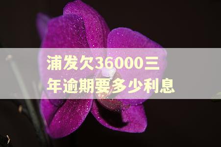 浦发欠36000三年逾期要多少利息