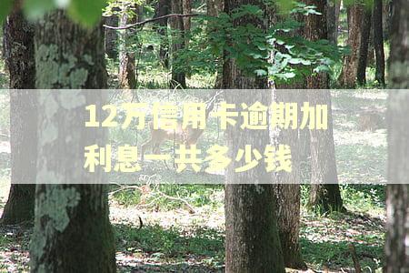12万信用卡逾期加利息一共多少钱 12万信用卡逾期加利息一共多少钱