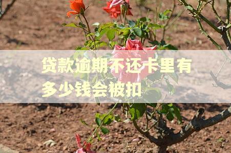 贷款逾期不还卡里有多少钱会被扣