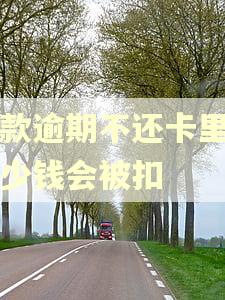 贷款逾期不还卡里有多少钱会被扣 贷款逾期不还卡里有多少钱会被扣