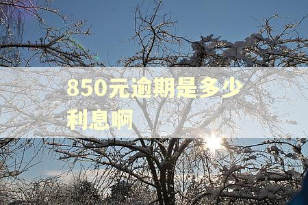 850元逾期是多少利息啊