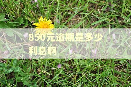 850元逾期是多少利息啊