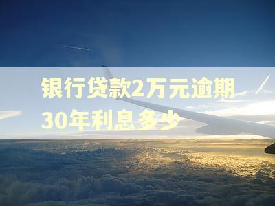 银行贷款2万元逾期30年利息多少