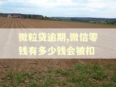 微粒贷逾期,微信零钱有多少钱会被扣