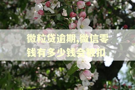 微粒贷逾期,微信零钱有多少钱会被扣