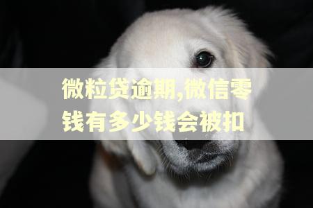 微粒贷逾期,微信零钱有多少钱会被扣