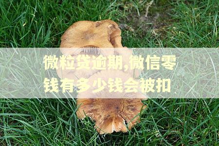 微粒贷逾期,微信零钱有多少钱会被扣