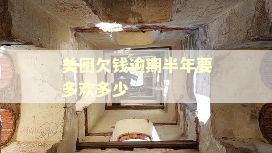 美团欠钱逾期半年要多欢多少