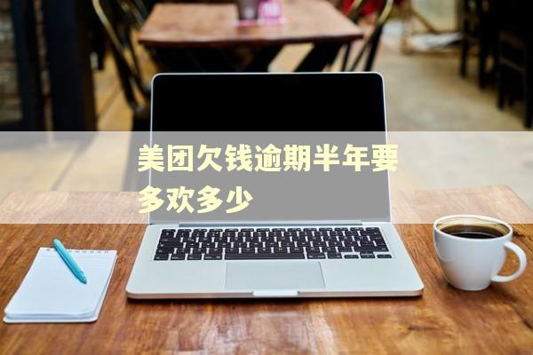 美团欠钱逾期半年要多欢多少